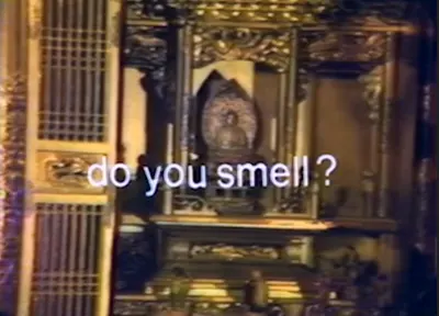 Cover image for Essential Lectures 11: Do You Smell?