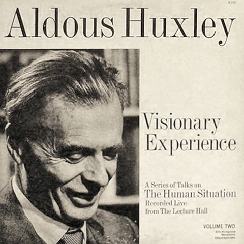 Cover image for Visionary Experience